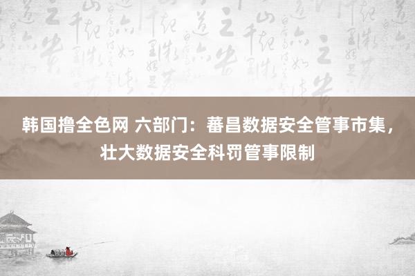 韩国撸全色网 六部门：蕃昌数据安全管事市集，壮大数据安全科罚管事限制