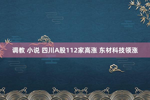 调教 小说 四川A股112家高涨 东材科技领涨